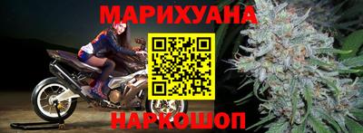 тгк Бийск