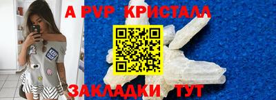 тгк Бийск