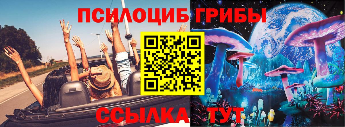 Псилоцибиновые грибы Cubensis  Галлюциногенные грибы Cubensis  Вход с VPN  закладка  Кингисепп 
